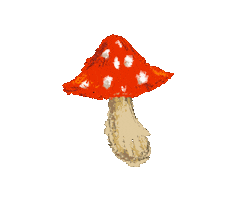 Mushroom Sticker