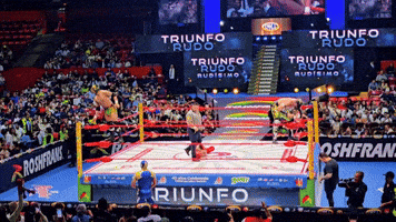 Lucha Libre Wrestling GIF