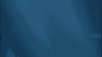 monterey bay aquarium sharks GIF