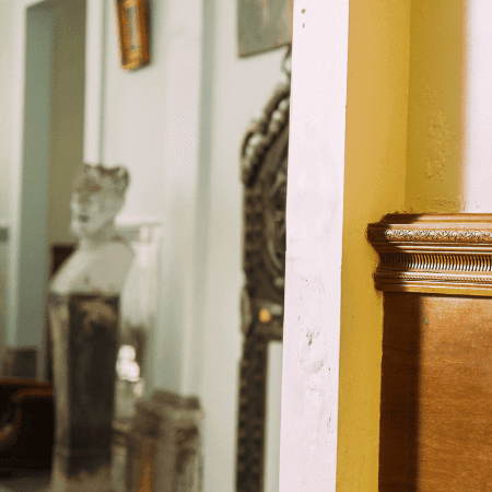 Don Gato Tequila GIF