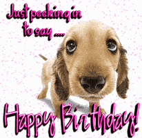 Happy Birthday Dog Gif Funny Birthday Dog Gifs - Get The Best Gif On Giphy Happy Birthday Dog Gif Funny Birthday Dog Gifs - Get The Best Gif On Giphy