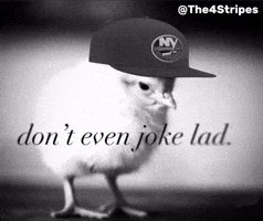 Not Funny Hockey GIF