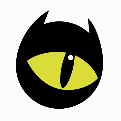 MOREBOARDS eye blackcat cateye moreboards GIF