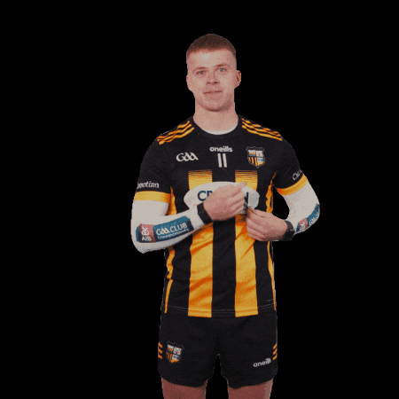 All-Ireland GIF by AIB