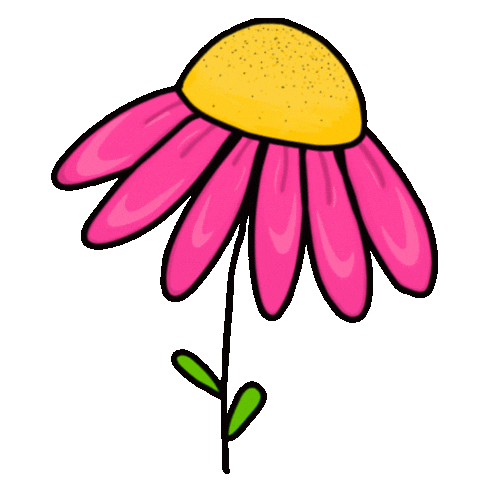 Pink Sticker