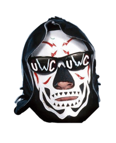 Undisputed World Champions Sticker