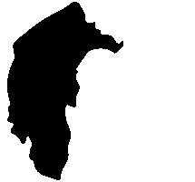 David Pocock Sticker