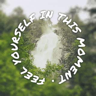 Nature GIF