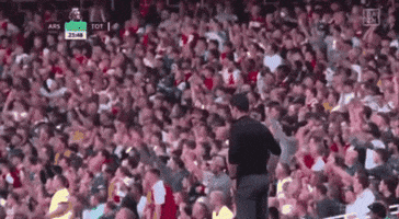 Happy Premier League GIF by arcalle