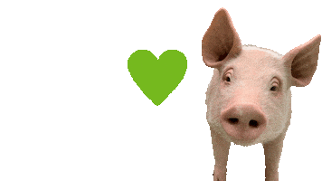 Greenpeace Rosalinde Sticker by GreenpeaceDeutschland