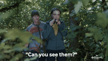 Camping Laci J Mailey GIF by Hallmark Channel