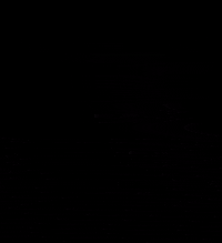 SCHORER + WOLF GIF