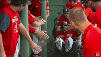 JD Martinez (Baseball) on Make a GIF