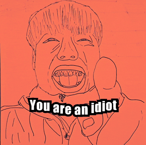 You Are An Idiot GIF