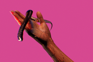 Art Pink GIF by Prismatis