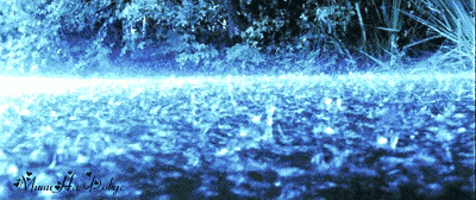 200_s.gif