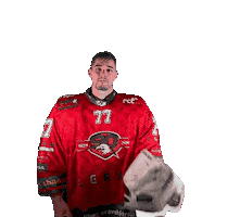 HC ORLI ZNOJMO Sticker