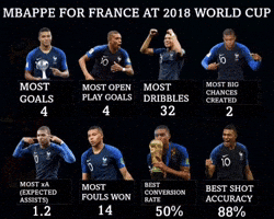 France GIF