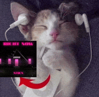 Sira GIF