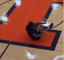 Fighting Illini Illinois GIF