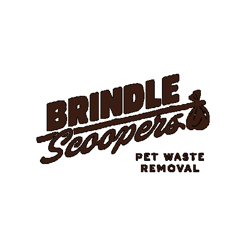 Brindle Scoopers Sticker