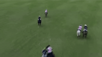 Endurant Polo GIF by ENDURANT TURF PAINT