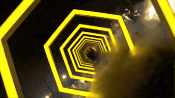 Rocket League Bee GIF by Team Vitality