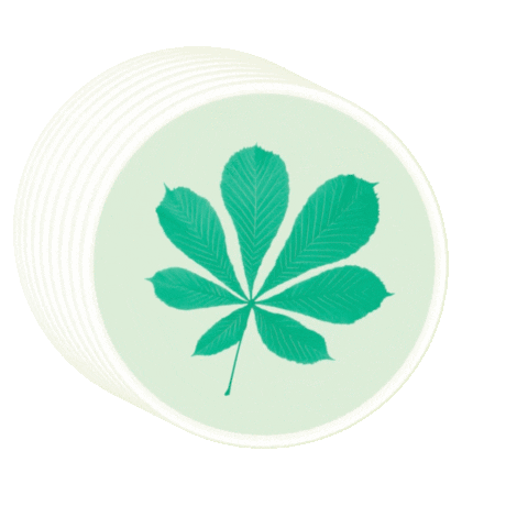 Elisabethstift Sticker