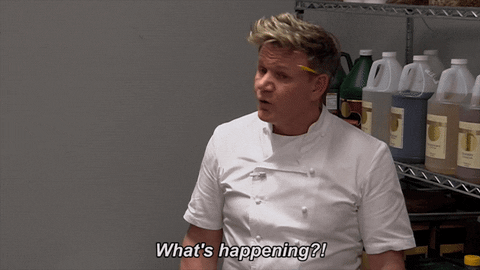 gordon ramsay what GIF by Hell's Kitchen