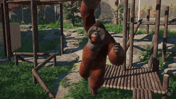 Orangutan's meme gif