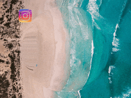 200.gif?cid=fc005b08b25d8e53938ab363d3cc793985ff3f6c55416e0d&rid=200.gif&ct=g
