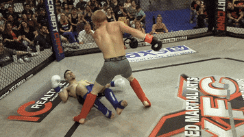 Lets Go Fighting GIF by New Line Cagefighting