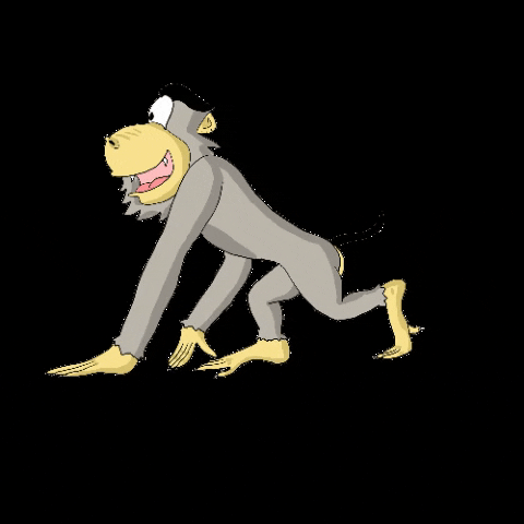 iggoyelfitra walking ape lucu monyet GIF