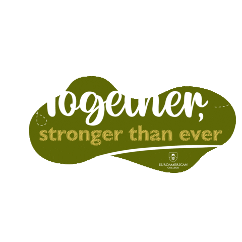 Euroamerican College Sticker