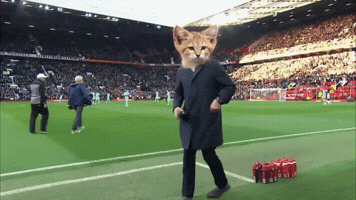 Sndk GIF