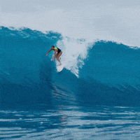 Surfing 360 GIF - Surfing 360 - Discover & Share GIFs