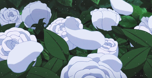 giphy.gif?cid=ecf05e47vei61anuqzxxksz67j