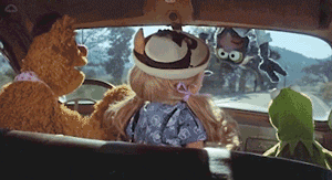 Confused Miss Piggy GIF by Muppet Wiki