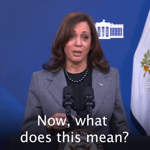 What Are We Doing Kamala Harris GIF by The Democrats
