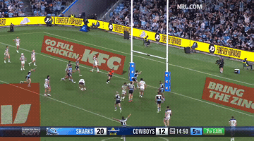 Nrl Sharks GIF