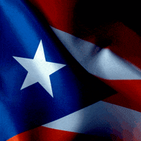 Puerto Rico Flag GIF by ericriveracooks