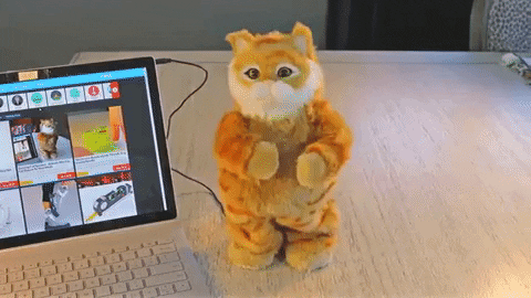 dancing robot cat