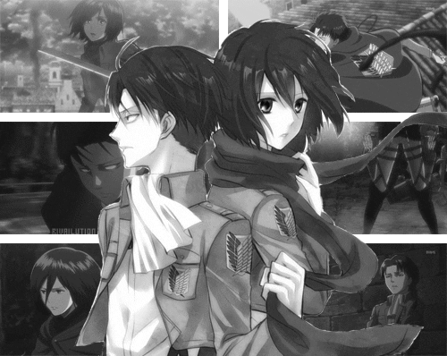 levi