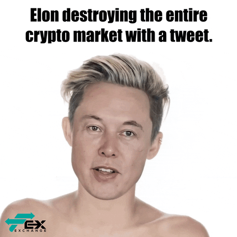 Elon Musk Cryptocurrency GIF by Favor Exchange