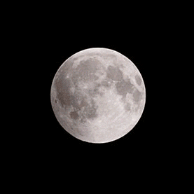 Moon GIF - Find & Share on GIPHY