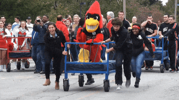 Excited Lets Go GIF by Ball State University