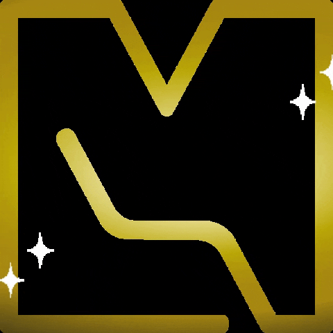 vincenzomastrolonardo GIF