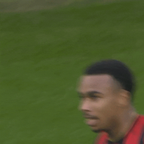 Happy Premier League GIF by AFC Bournemouth