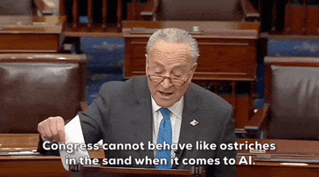 Chuck Schumer Ai GIF by GIPHY News