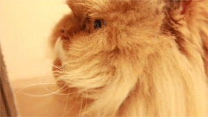 fashion is my kryptonite